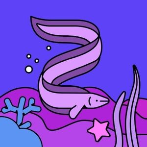 Meet your Posher, Mananyoth